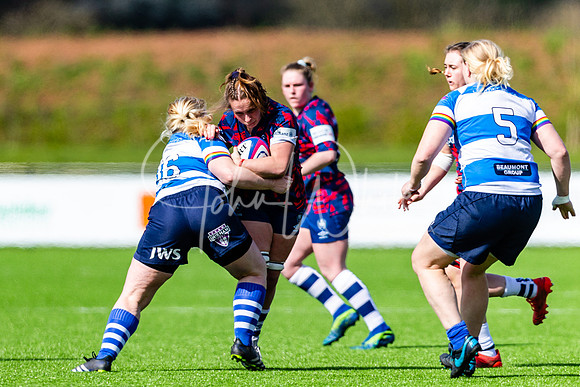 Dings Crusaders Henley Hawks