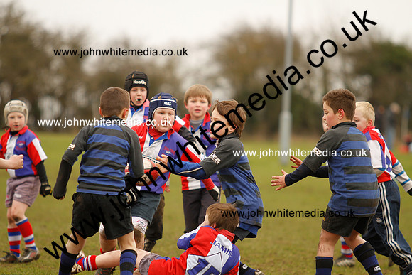 Dings v Sharks U-9s-89