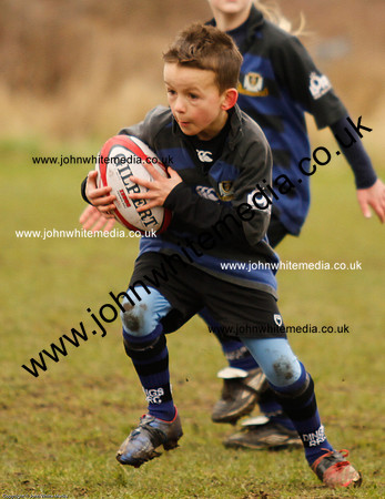 Dings v Sharks U-9s-48