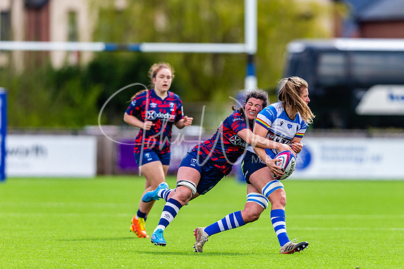 Dings Crusaders Henley Hawks