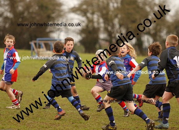 Dings v Sharks U-9s-92