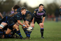 Dings v Clifton-5