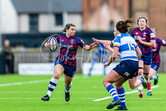 Dings Crusaders Henley Hawks