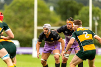 Clifton v Barnes 070919