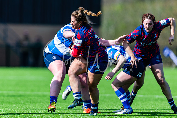 Dings Crusaders Henley Hawks