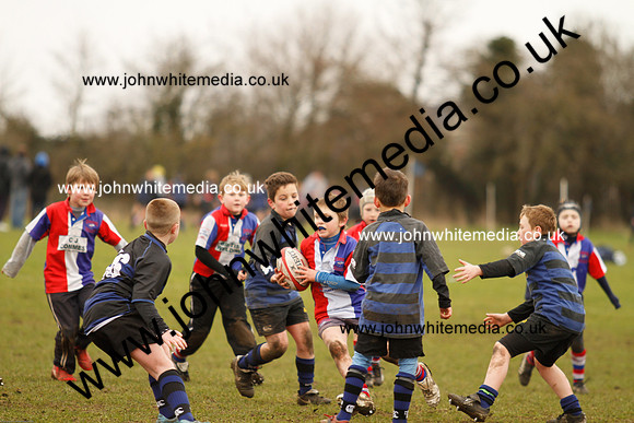 Dings v Sharks U-9s-93