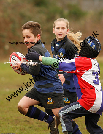 Dings v Sharks U-9s-21